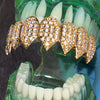 14K Gold Plated Shark Grillz  Eight Top Iced Flooded Out CZ Teeth Grill