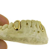 Real 14K Gold Open Face Canine Custom Caps Grillz w/Back Bar