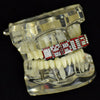 Red Letters Personalized Iced Flooded Out Teeth Custom Name Grillz