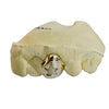 10K Gold Custom Cap Grillz Single Star Cutout Open Face One Tooth