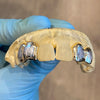 10K Gold Double Cap Two-Tone Diamond Dust Custom Grillz