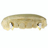 10K Gold or 14K Gold Single Canine Vampire Fang Tooth Two-Tone w/Diamond Dust