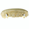 10K Gold or 14K Gold Single Canine Vampire Fang Tooth Two-Tone w/Diamond Dust