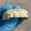 10K Gold or 14K Gold Single Canine Vampire Fang Tooth Two-Tone w/Diamond Dust