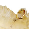 10K or 14K Gold Open Cap Face Diamond Dust (Choose Tooth)