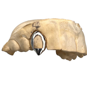 10K OR 14K Gold (Yellow or White) Vampire Fangs Open Face Single Custo