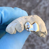 10K White Gold Double Side Canine Teeth CZ Custom Grillz Teeth