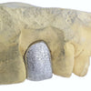 10K White Gold Full Diamond Dust Cap Single Custom Grillz (Choose Tooth)