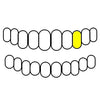 11 10K Gold Cap Diamond-Dust Diamond Cut Single Custom Grillz (Choose Tooth)