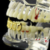 14K Gold Plated 4 Open Face Bottom Teeth Fang Grillz