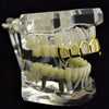 14K Gold Plated 6 Open Face Top Vampire Fangs Grillz