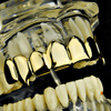 14K Gold Plated 8 Top Teeth Vampire Fang Grillz