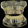14K Gold Plated 8 Top Teeth Vampire Fang Grillz Iced Flooded Out