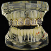 14K Gold Plated 8 Top Teeth Vampire Fang Grillz Iced Flooded Out