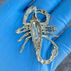 14K Gold Plated 925 Silver Scorpion Iced CZ Scorpio Pendant 2"