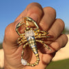 14K Gold Plated 925 Silver Scorpion Two-Tone Iced CZ Scorpio Pendant