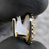 14k Gold Plated Black Dollar Sign Symbol CZ Single Canine Iced Bling Out Grill