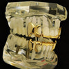 14K Gold Plated Bottom 4-Open Curved Vampire Fangs Grillz