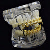 14K Gold Plated Cuban Link CZ Fangs Grillz Set