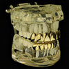 14K Gold Plated Deeper-Cut Teeth Grillz Set