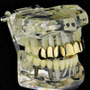 14K Gold Plated Eight Top Teeth Plain Grillz