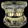 14K Gold Plated Eight Top Teeth Plain Grillz