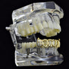 14K Gold Plated Four Open Diamond-Cut Bottom Fang Grillz