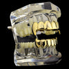 14k Gold Plated Full Vampire Fangs Grillz Set