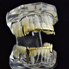 14K Gold Plated Full Vampire Fangs Slim Bar Grillz Set