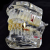 14K Gold Plated Iced CZ 4 Open Bottom Vampire Fangs Grillz