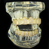 14K Gold Plated Iced CZ 8/8 Vampire Fangs Grillz Set