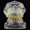 14K Gold Plated Iced CZ Six Open Face Bottom Teeth Grillz