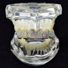 14K Gold Plated Iced Micro Pave Top Teeth Grillz