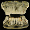 14K Gold Plated Notched Fangs Bottom 4-Open Curved Grillz