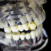 14K Gold Plated Open Top Tooth Single Cap Grillz