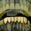 14K Gold Plated over 925 Sterling Silver Bottom Teeth Grillz