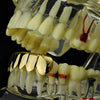 14K Gold Plated over 925 Sterling Silver Bottom Teeth Grillz