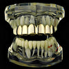 14K Gold Plated over 925 Sterling Silver Top Teeth Grillz