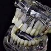 14K Gold Plated Plain Gap Single Tooth Grillz