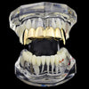 14k Gold Plated Plain Top Teeth Vampire Fangs Grillz