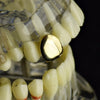 14k Gold Plated Plain Top Tooth Single Cap Grillz