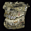 14K Gold Plated Premium CZ Iced Two -Tone Top Teeth Micro Pave Grillz