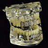 14K Gold Plated Premium CZ Top Teeth Vampire Fang Grillz