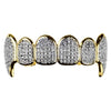 14K Gold Plated Premium Two-Tone CZ Iced Top Vampire Fang Grillz