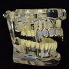 14K Gold Plated Premium Two-Tone CZ Iced Top Vampire Fang Grillz