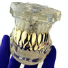 14k Gold Plated Shark Teeth Grillz Set Plain