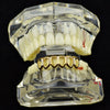 14K Gold Plated Six Open Face Hollow Bottom Teeth Grillz