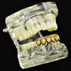 14K Gold Plated Six Open Face Hollow Bottom Teeth Grillz