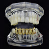 14K Gold Plated Six Open Face Hollow Bottom Vampire Fangs Grillz