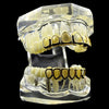 14K Gold Plated Six Open Face Hollow Teeth Grillz Set